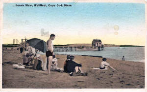 postcardbeach.jpg