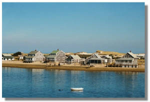 sandyneck2.jpg