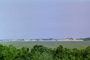 view.jpg