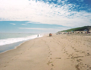beach-shot-2.jpg