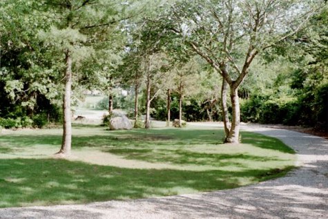 lawn.jpg